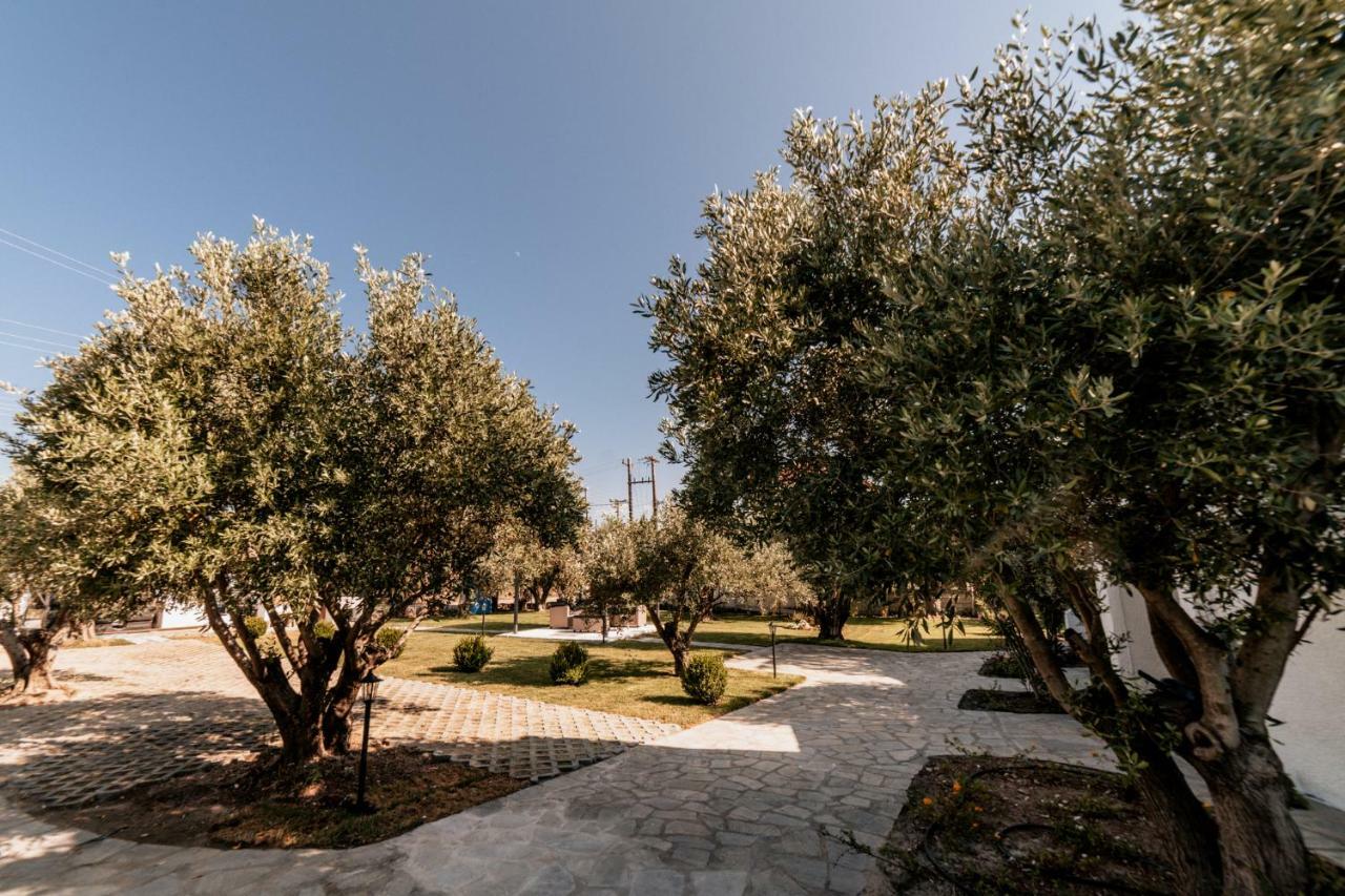 Cyclades Luxury Nea Poteidaia